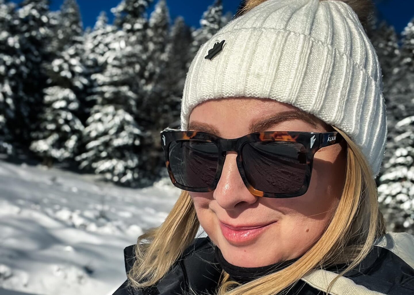 Am închis calculatorul la mijlocul zilei de lucru iarna zapada sanius