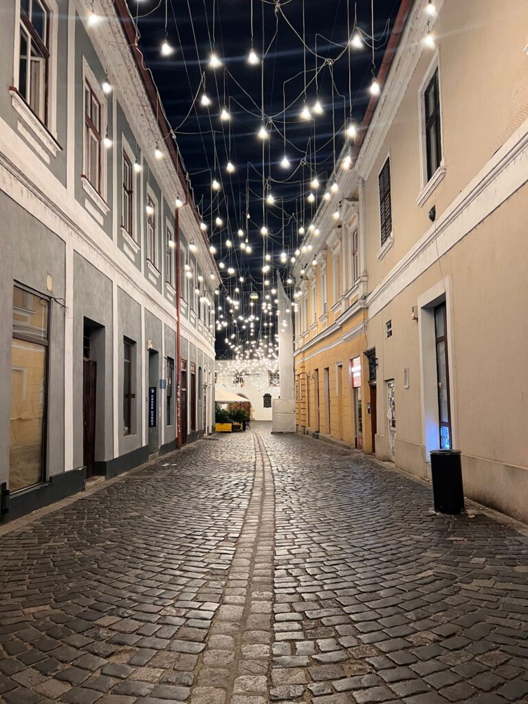 piata unirii cluj napoca